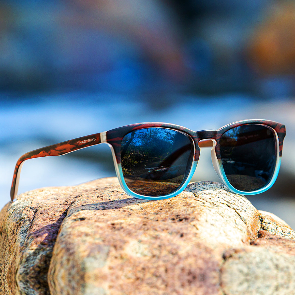 Cypress Driftwood Polarized - Image 3