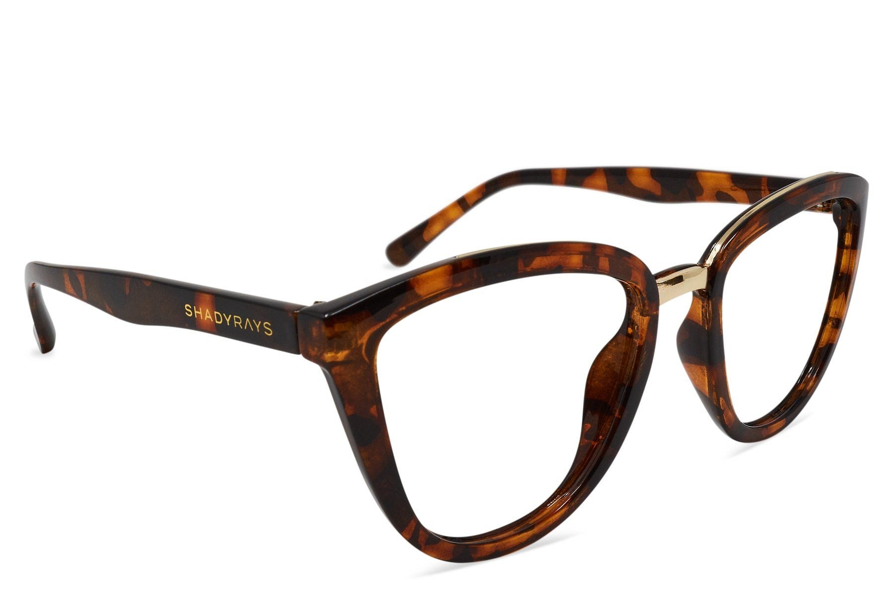 Alternative view of Calico Rx   Amber Tortoise