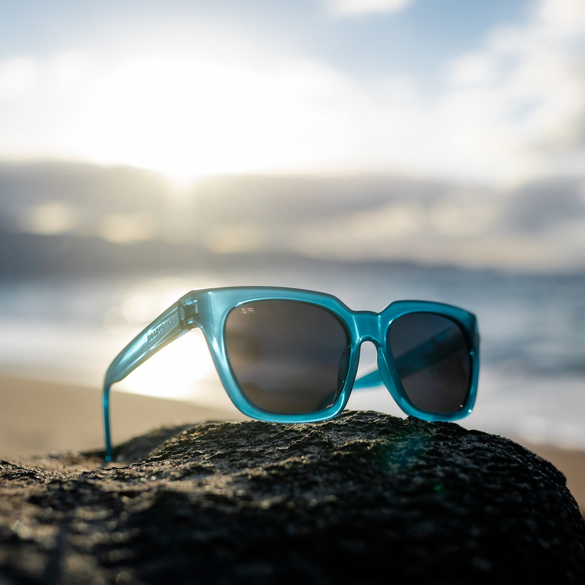 Dahlia Seaside Polarized - Image 4