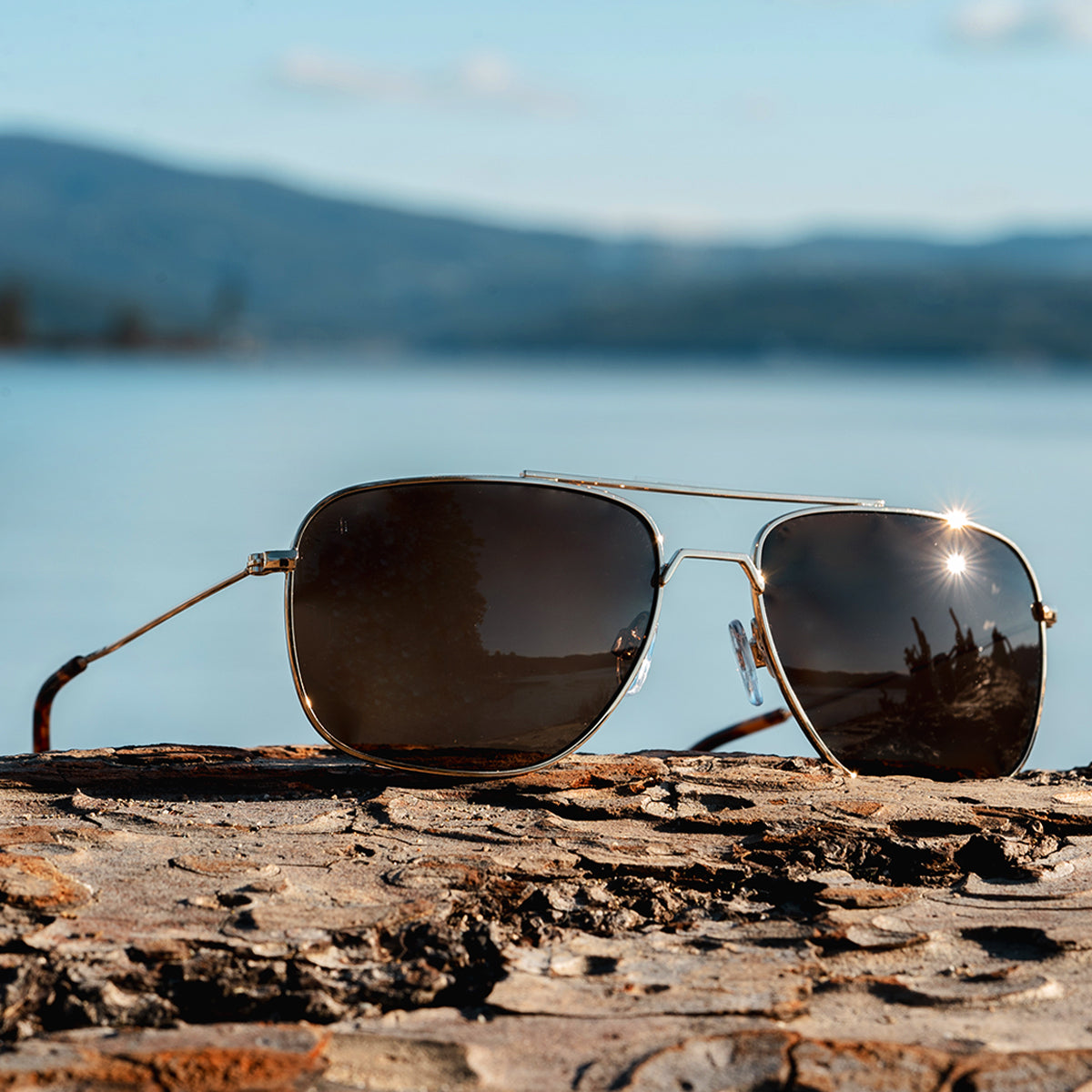 Navigator Black Gold Polarized - Image 6