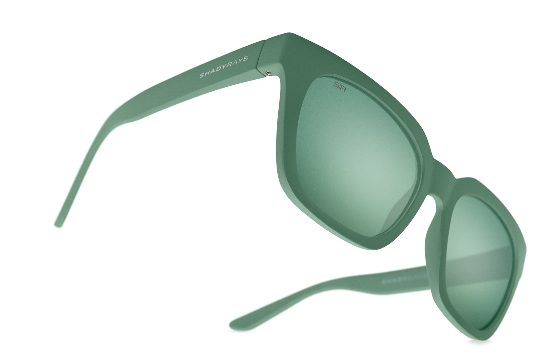 Dahlia   Agave Polarized