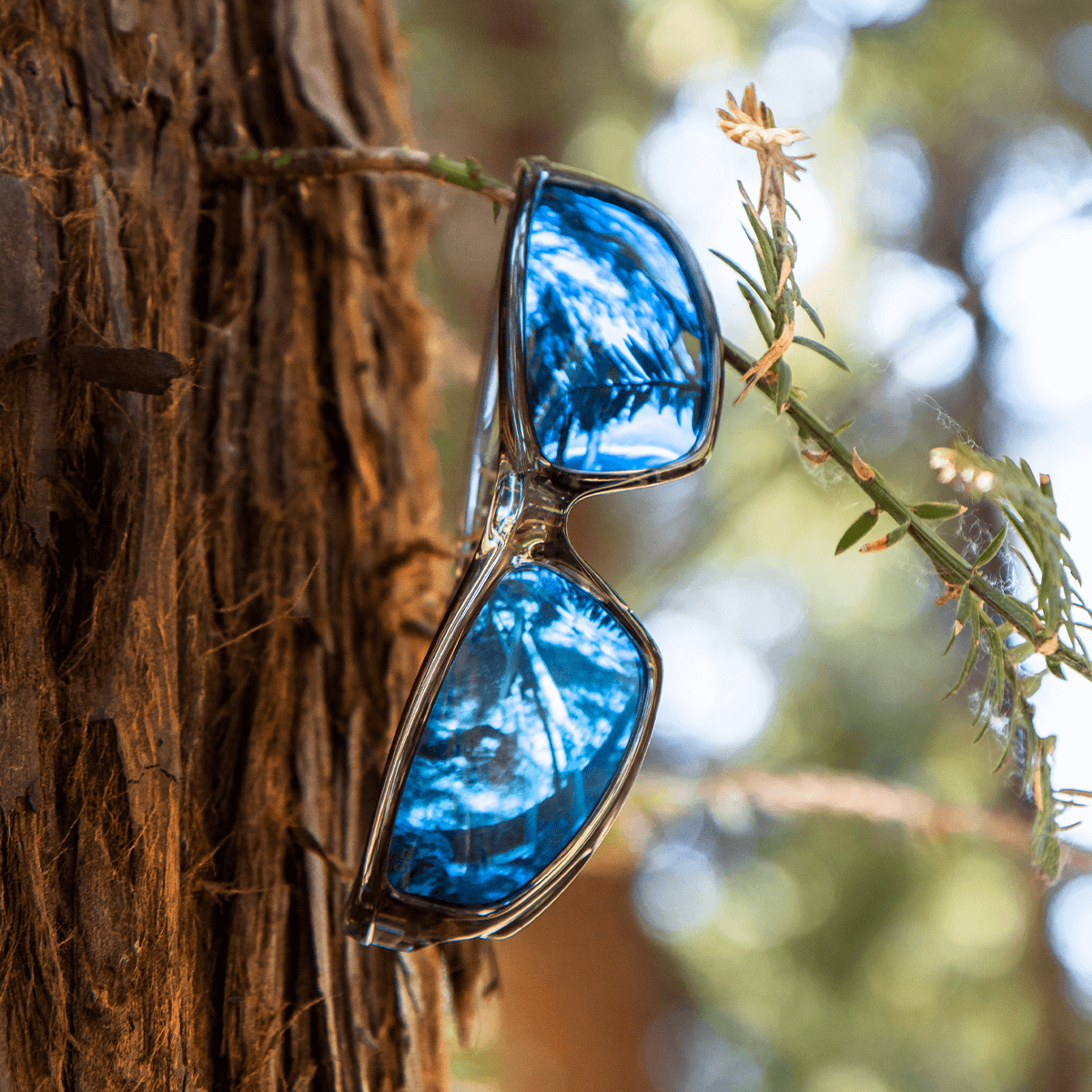 X Series Glacier Smoke Polarized - Image 5