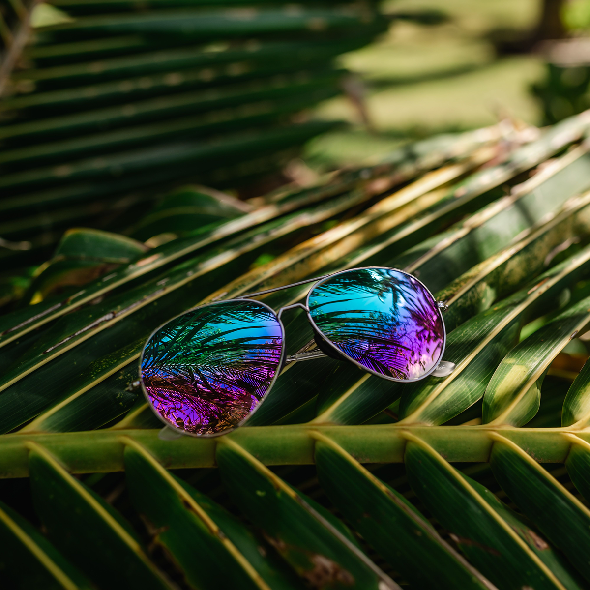 Tangle Free Aviator Lagoon Polarized - Image 5