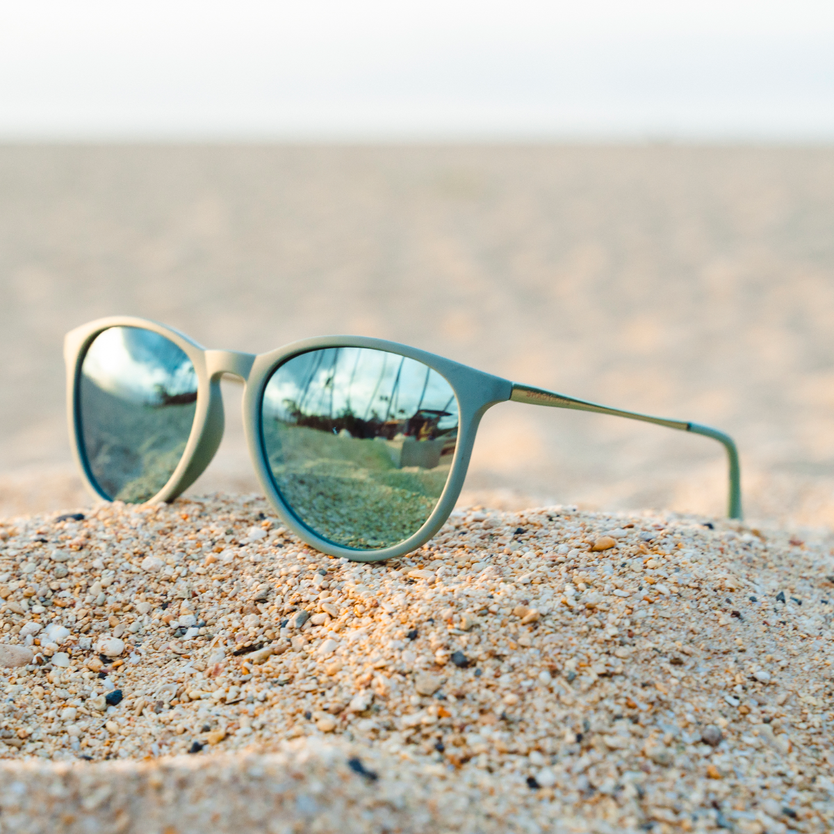 Allure Agave Polarized - Image 5