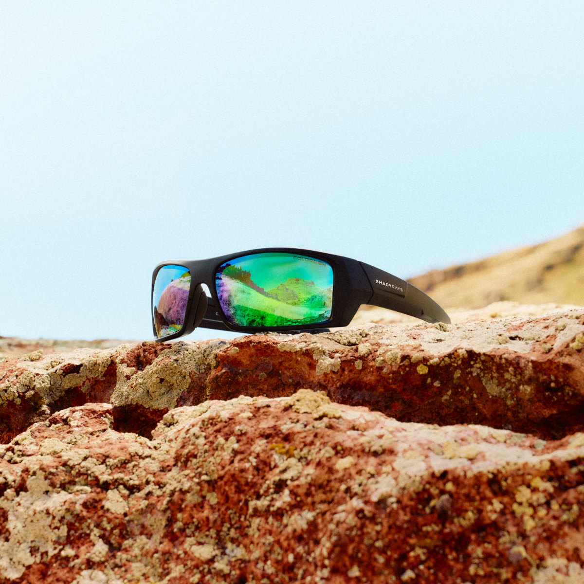 Reign Black Emerald Polarized - Image 4