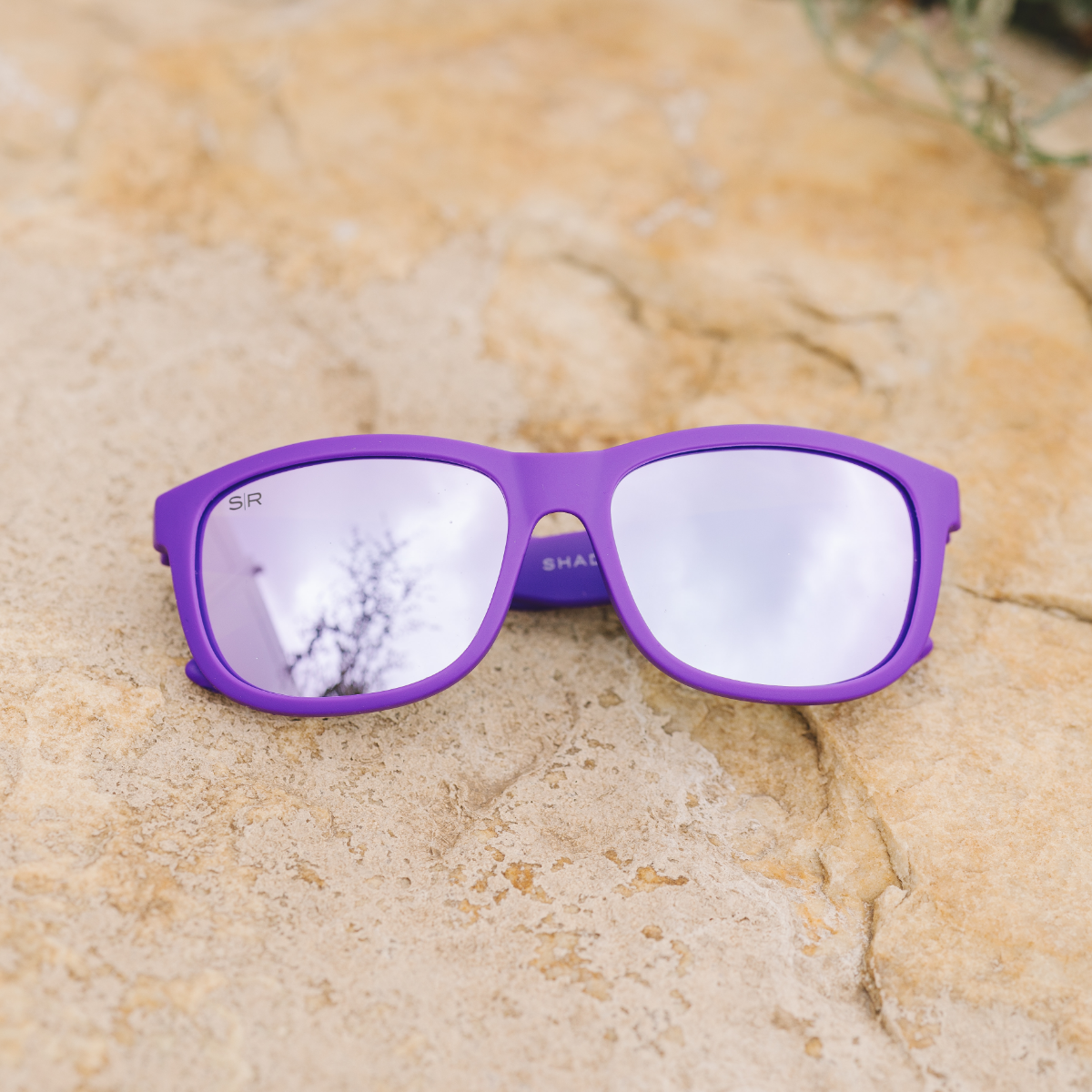 Kid's Signature Series Grape Polarized - Image 5